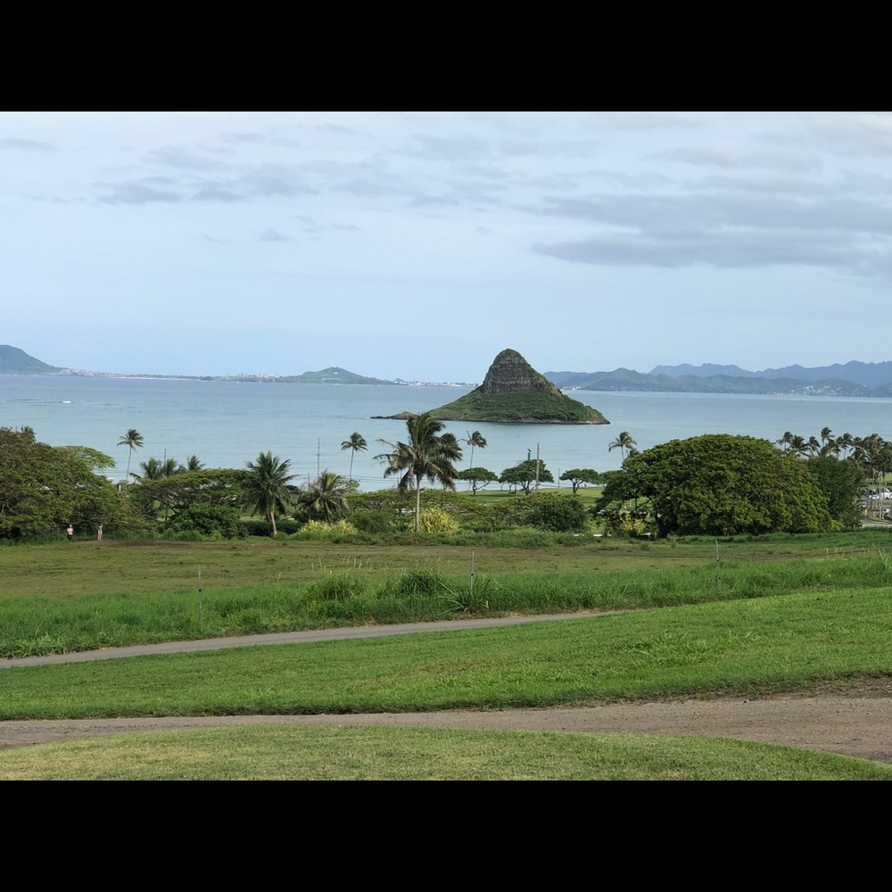 Meet your Posher, Colleen